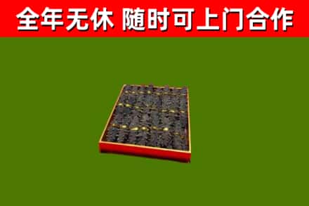 个旧回收海参